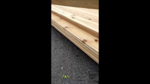 Лиственница, сорт Эконом