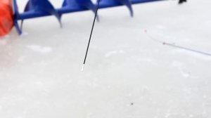 Мормышка "ХРЕНЬ". Испытания