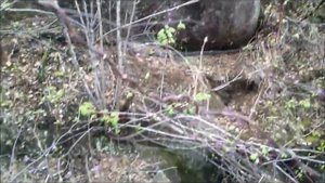 Запретная Археология России. Хабаровские мегалиты  Древний Дальний Восток  Экспедиция