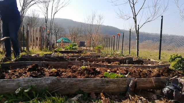 Ça y est ! Je commence enfin ! #potager #potagerbio смотреть онлайн