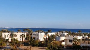 Египет в феврале. Красное море. Сильные ветра. Обзор отеля, еда и развлечения.