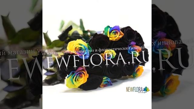 Волшебные Розы ХАМЕЛЕОН от NEWFLORA в Красноярске! смотреть онлайн