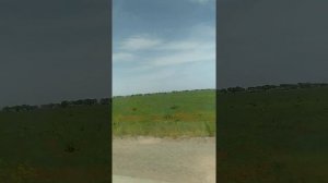 Казахстан Тараз Луговой