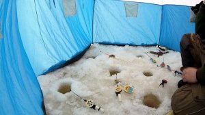 Рыбалка на Белом море, сухое море, железные ворота - камбала в марте или бриллиантовая рука.