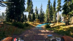 Я НАСТОЯЩИЙ КОРОЛЬ ЭТОГО ОСТРОВА?! (Far Cry 5)