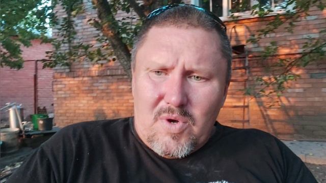 деревенское хозяйство , цесарки , куры леггорн , венгерский красный великан