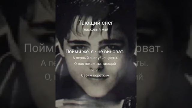 Тающий снег ласковый май. Тающий снег ласковый май текст. Песня тающий снег.