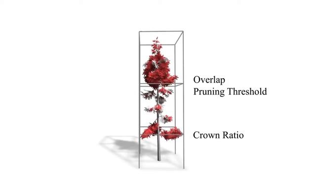 Capturing and Animating the Morphogenesis of Polygonal Tree Models смотреть онлайн