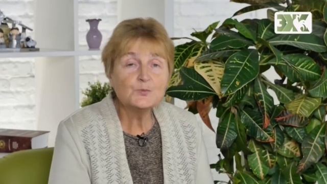 ЛИЛЕЙНИК -  ЛУЧШИЕ СОВЕТЫ