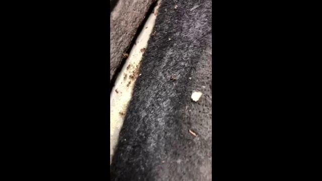 сколько можно смотреть онлайн