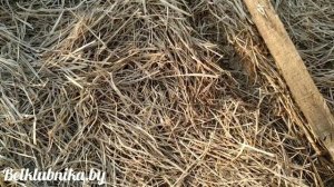 Подкормочный узел для клубники. Инжектор Вентури. Belklubnika.by