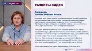 Собака убегает за кошкой. Разбор видео от инструктора по дрессировке, кинолога Татьяны Шамановой.