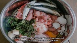 Какой нос должен быть у здоровой собаки: мокрый или сухой