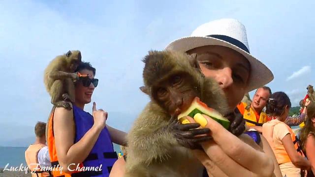 МАРТЫШКА ВОРУЕТ GO PRO // ОСТРОВ ОБЕЗЬЯН ТАИЛАНД