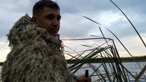 Утиная охота в Омской области. Госфонд Таврического района.