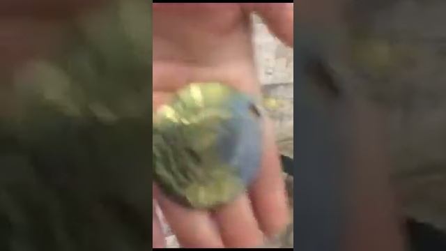 Обзор медалей смотреть онлайн