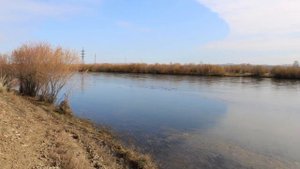 Онохой .Осень-светлая грусть. Автор Дульский Юрий