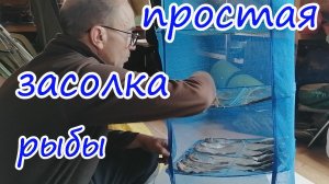 Самая простая и быстрая засолка рыбы