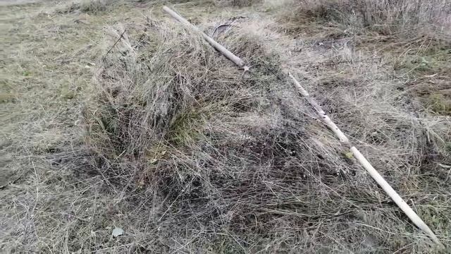 Подстилка для свиней и поросят (венгерская мангалица) бесплатно