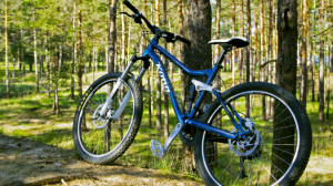 Ну нравится мне езда на велосипеде