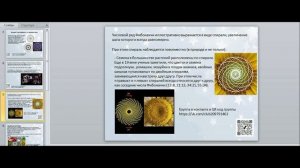 ЧИСЛОВОЙ РЯД ФИБОНАЧЧИ В МАНДАЛЕ СВЕТА.mp4