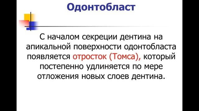 13.50 Лекция! Развитие зуба смотреть онлайн