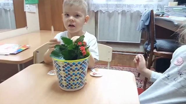 Методика "Волшебная лупа" смотреть онлайн