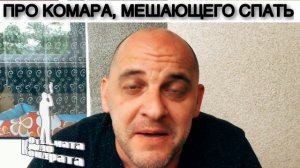 ПРО КОМАРА, МЕШАЮЩЕГО СПАТЬ