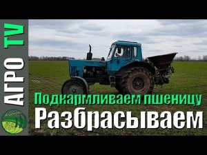 Подкормка озимой пшеницы селитрой на МТЗ-80