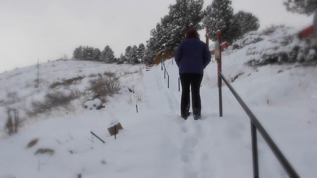 The Denver Sonnets Project, No 36: Rachel Fowler смотреть онлайн