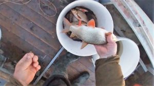 18.06.19. \ ПРОВЕРКА ПРОДОЛЬНИКОВ \ ПОКА КЛЮЁТ