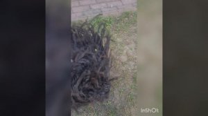 Ты же не такая как все?