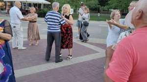 Белые берёзы... 01.09.24...