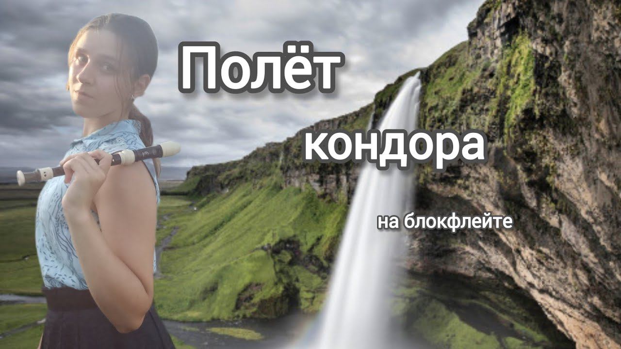 Полёт кондора на блокфлейте смотреть онлайн