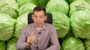 Борьба с килой капусты