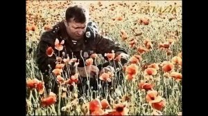 Песни Афгана..Юрий Шкитун - КАНДАГАР