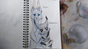 Обзор Рисунков Котов Воителей||#7