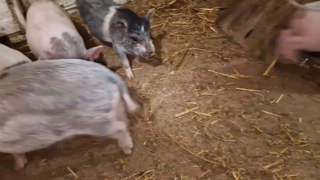 остались только мои! смотреть онлайн