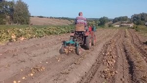 грохотная копалка от мотоблока с тз4к14