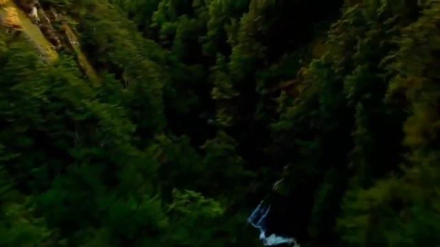 Рождение новой исцеляющей картины «Я ЦЕЛАЯ ВСЕЛЕННАЯ»