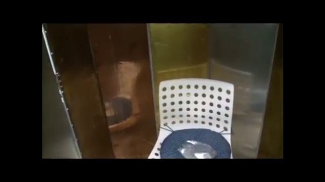 2 Все о торсионном поле   Структура,взаимодействие, применение  Введение