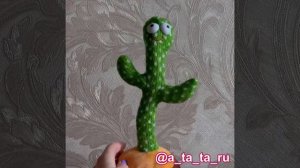 Танцующий кактус 🌵