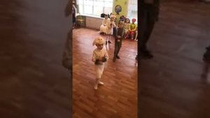 Танец зайчиков в детском саду ёлка!