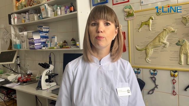 Весна в городе. Интервью с ветеринарным врачом. Правила ухода за домашними животными.
