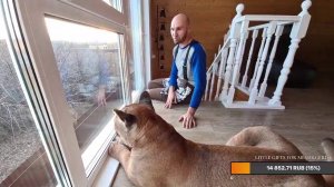 Прямой эфир 22.11