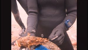 Маленькие ядовитые рыбы-хищники Чёрного моря, о которых нужно знать каждому.