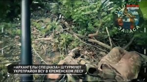Главные видео СВО за прошедшие сутки
