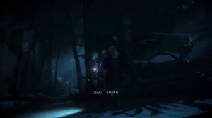 Until Dawn #1