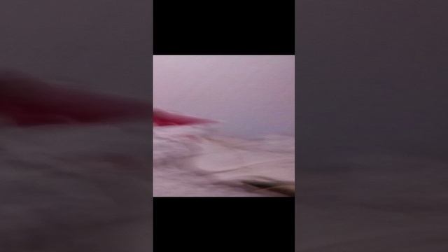 VID_20240101_161631.mp4 смотреть онлайн