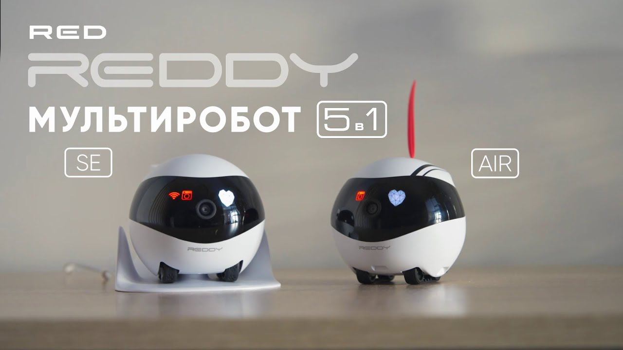 REDDY